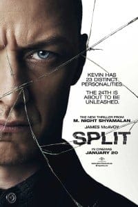 Download Split Dual Audio Hindi English 720p