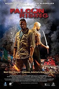 Falcon Rising 2014