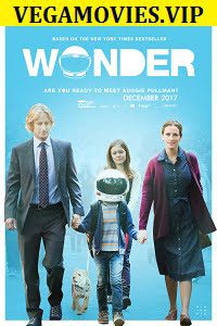 Wonder 2017