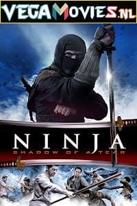 Ninja Shadow of a Tear 2013