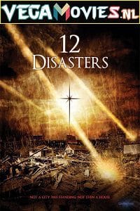 The 12 Disasters of Christmas poster