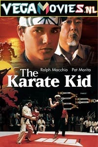 The Karate Kid 1984 1