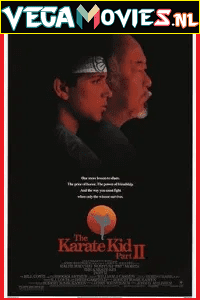 The Karate Kid Part 2 vega poster Hindi