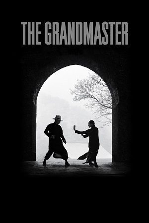 The Grandmaster 2013 Dual Audio Vegamoviues
