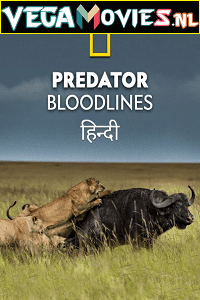 Predator Bloodlines 2021