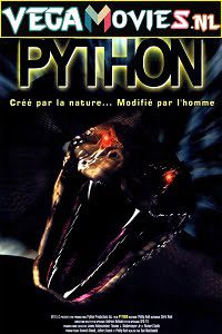 Python 2000