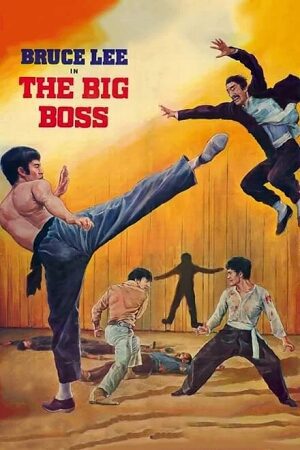 The Big Boss 1971 Hindi English
