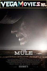 The Mule