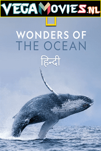 Wonders of the Ocean 2021