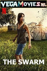 The Swarm 2021 posters