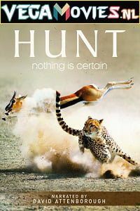 The Hunt 2015