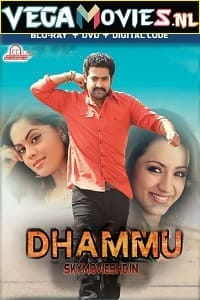 Dhammu 2013