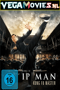 Ip Man Kung Fu Master 2019