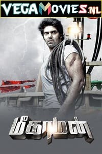 Meaghamann 2014