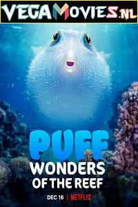 Puff Wonders of the Reef 2021