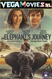 An Elephants Journey 2017