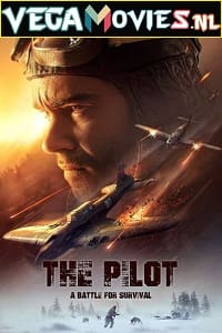 The Pilot A Battle for Survival English