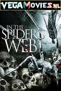 In the Spiders Web 2007