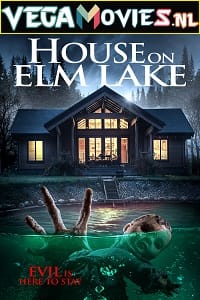 House on Elm Lake 2017