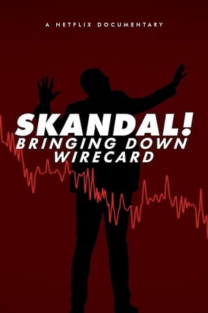 Skandal Bringing Down Wirecard 2022