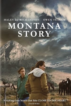 Montana Story 2021 poster