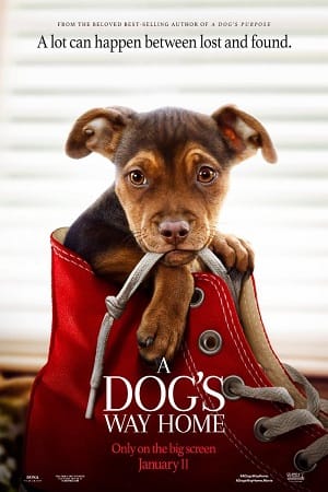 A Dogs Way Home 2019 poster