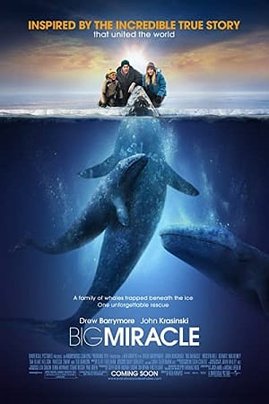 Big Miracle Hindi Dubbed