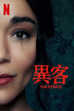 The Strays 2023 posters