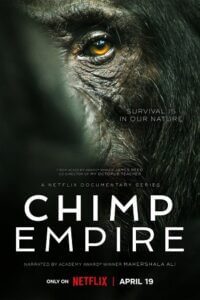 Chimp Empire 2023 Season 1