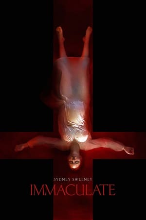 Immaculate 2024 English Poster
