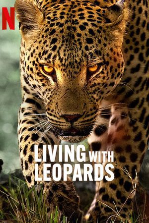 Living with Leopards 2024 2