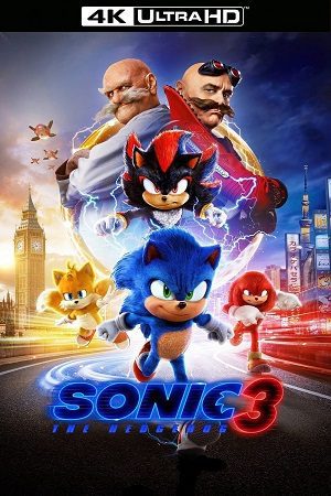 Sonic the Hedgehog 3 Hindi ORG 5.1