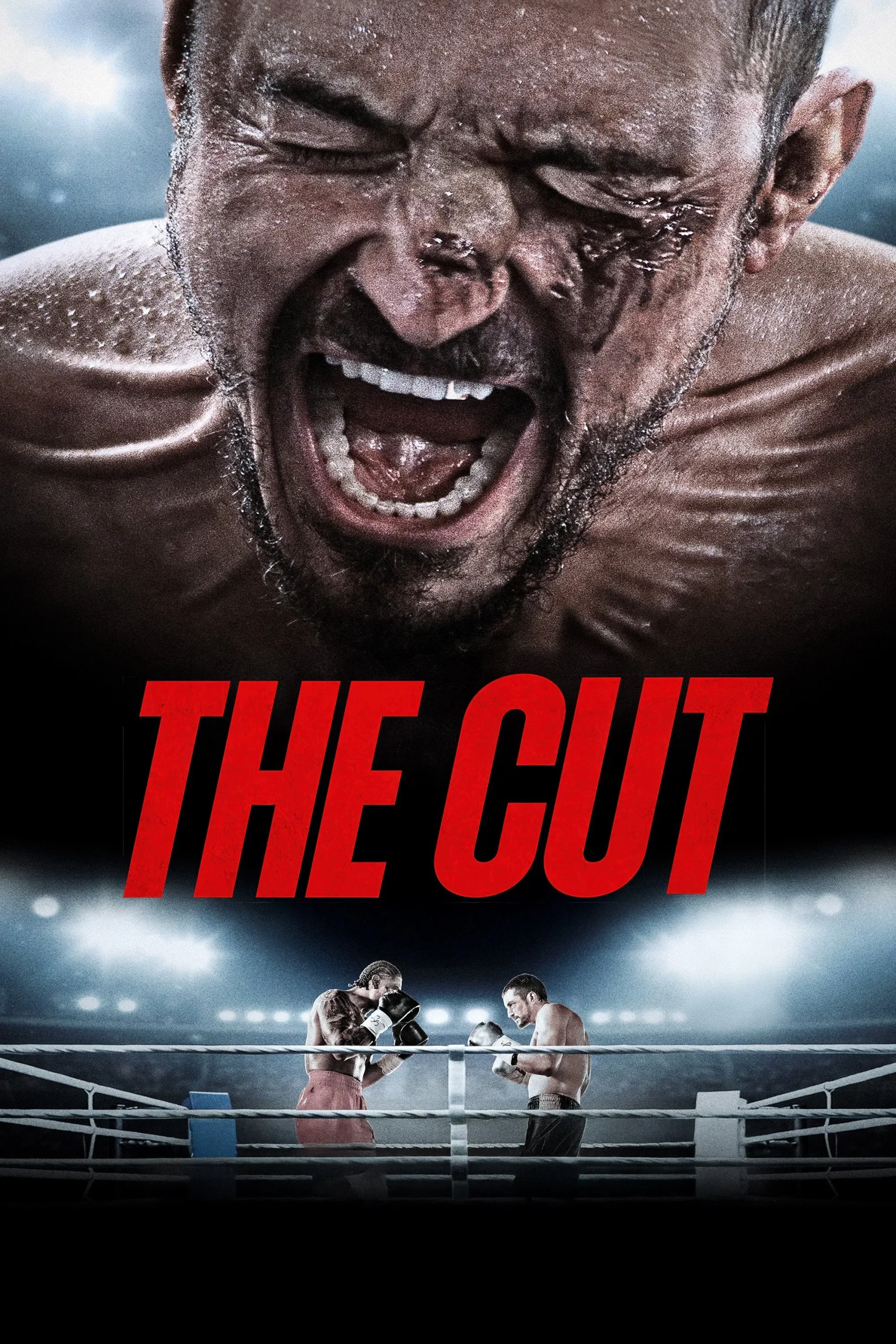 Download The Cut (2024) BluRay Dual Audio {Hindi-English} 480p [340MB] | 720p [925MB] | 1080p [1.8GB]