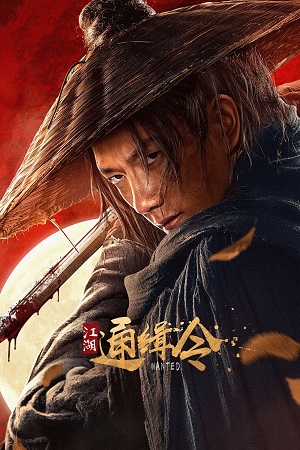 Download Wanted (2025) WEB-DL Dual Audio {Hindi-Chinese} 480p [400MB] | 720p [750MB] | 1080p [1.5GB]